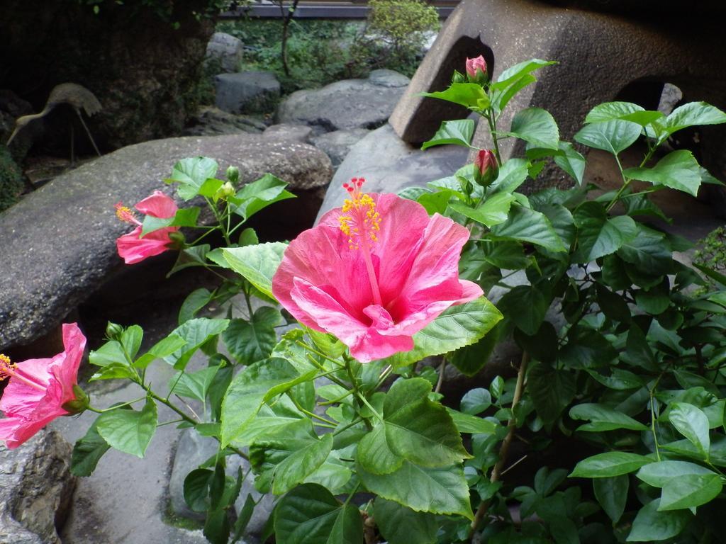 Uokagi Ryokan Nagoya Esterno foto